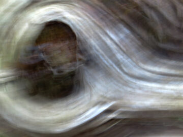 Eyecatcher - Intuition. Giclée print on fineart paper; series of 20+ 2 AP; 2025 © Flavio Cesarini