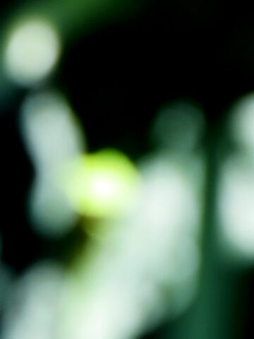 2025-10-20-Senza titolo I-Intuition. Giclée print on fineart paper; series of 50+ 2 AP; 2025 © Flavio Cesarini