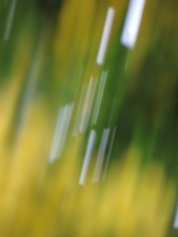 2025-12-07-Untitled-Intuition. Giclée print on fineart paper; series of 50+ 2 AP; 2025 © Flavio Cesarini