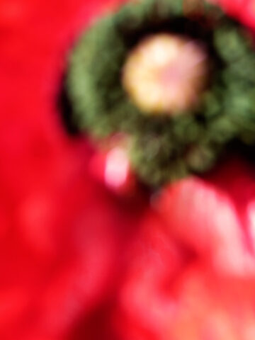 La sposa odorosa; Intuition. Giclée print on fineart paper; 2025 © Flavio Cesarini